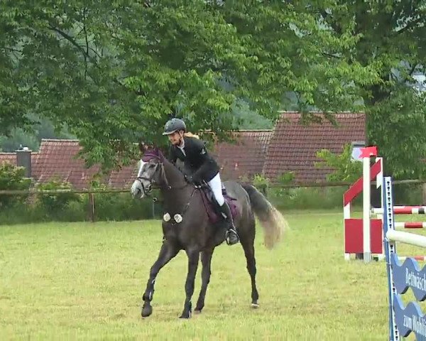 Reitturnier Neustadt/Aisch/Mfr. 2022