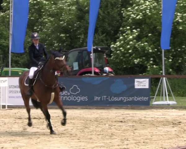 Reitturnier Everswinkel 2022
