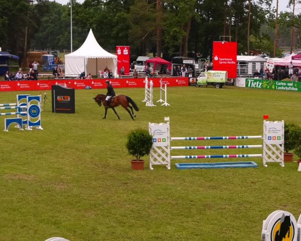 Reitturnier Cottbus-Sielow 2022