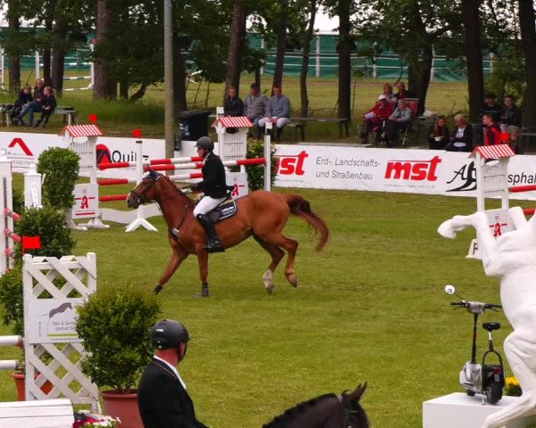 Reitturnier Cottbus-Sielow 2022
