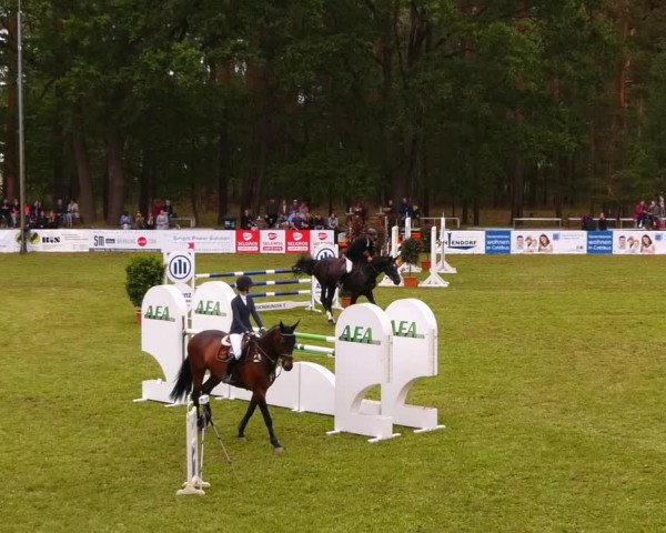 Reitturnier Cottbus-Sielow 2022
