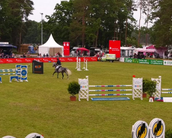 Reitturnier Cottbus-Sielow 2022