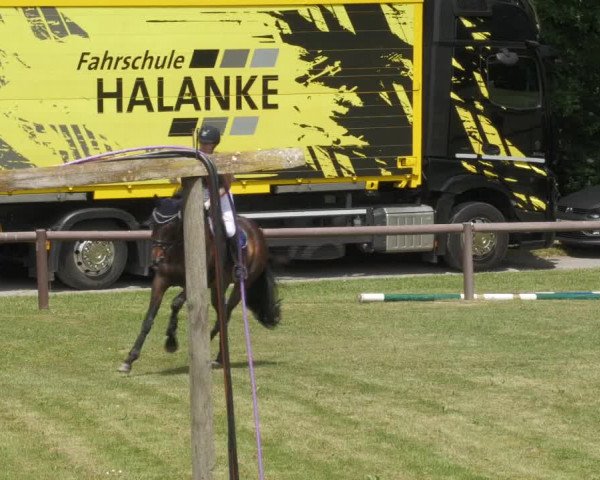 Reitturnier Jettingen 2022