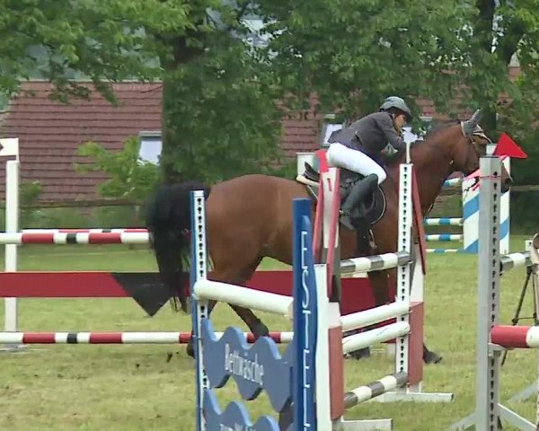 Reitturnier Neustadt/Aisch/Mfr. 2022