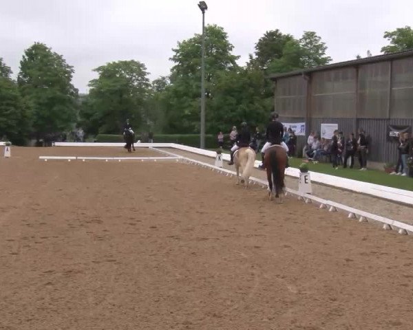 Reitturnier Neustadt/Aisch/Mfr. 2022