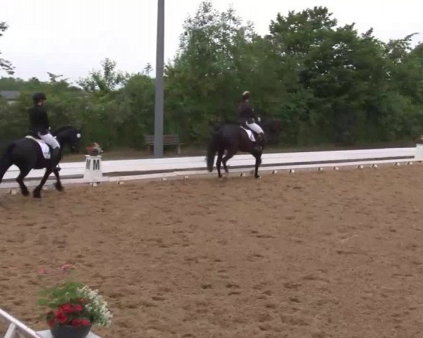 Reitturnier Neustadt/Aisch/Mfr. 2022
