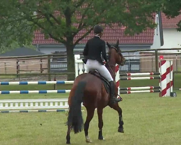 Reitturnier Neustadt/Aisch/Mfr. 2022