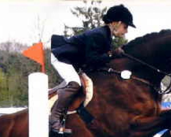 jumper Egy-Top (Westphalian, 1992, from Ehrentusch)