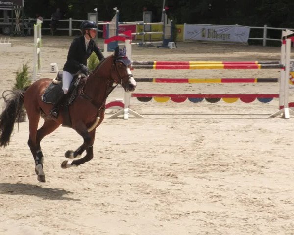 Reitturnier Losheim am See 2022