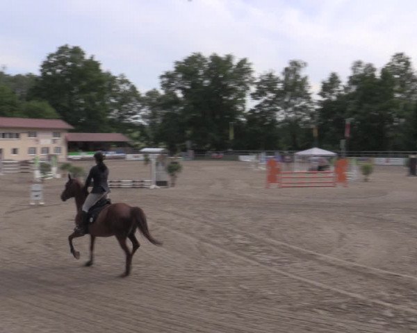 Reitturnier Lgl.-Oberhain, B95 2022