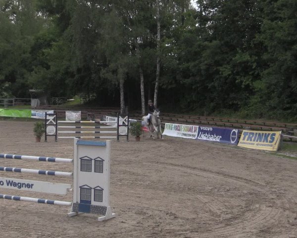 Reitturnier Lgl.-Oberhain, B95 2022
