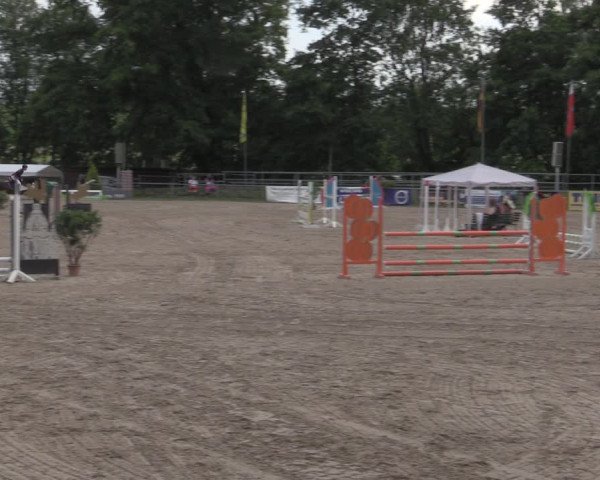 Reitturnier Lgl.-Oberhain, B95 2022