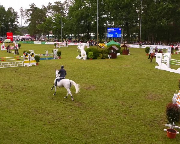 Reitturnier Cottbus-Sielow 2022