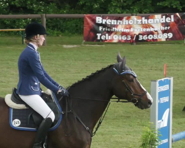 Reitturnier Jettingen 2022