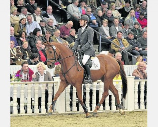 broodmare Charmed 2 (Hanoverian, 2008, from Chacco-Blue)