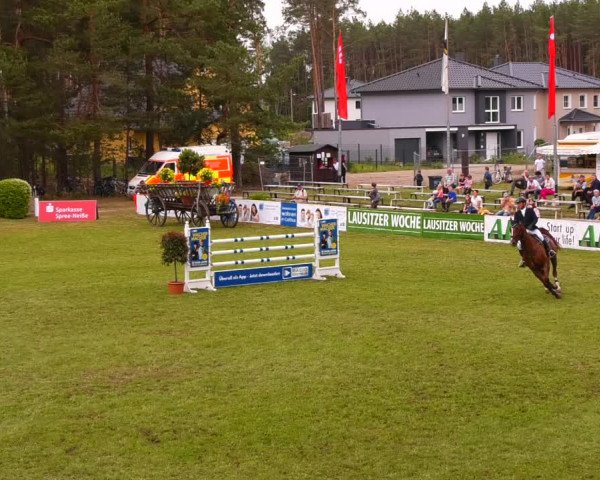 Reitturnier Cottbus-Sielow 2022