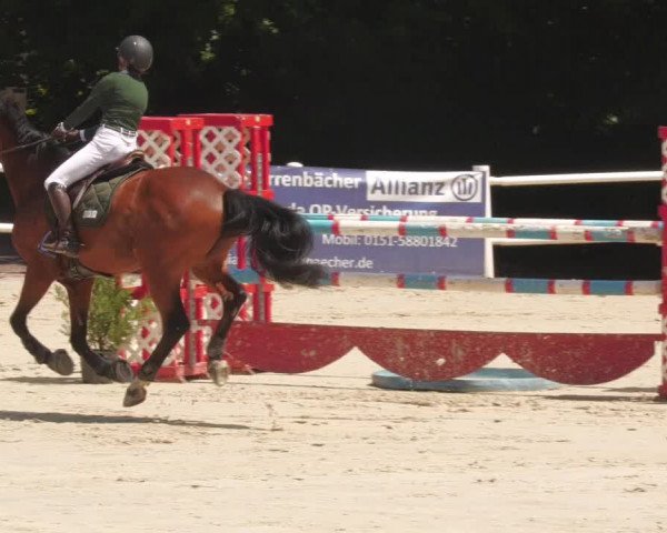 Reitturnier Losheim am See 2022