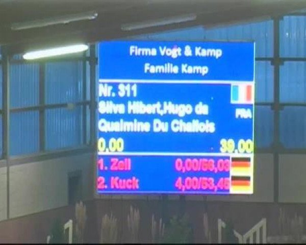 jumper Qualmine Du Challois (Selle Français, 1990, from Dollar de la Pierre)
