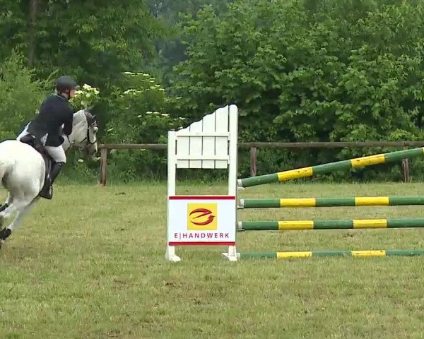 Reitturnier Neustadt/Aisch/Mfr. 2022