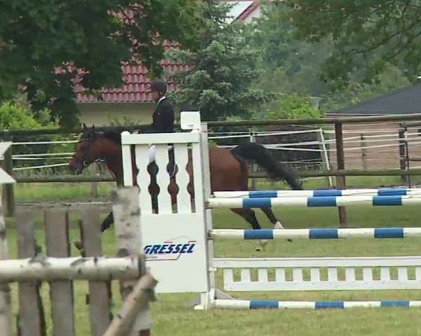 Reitturnier Neustadt/Aisch/Mfr. 2022