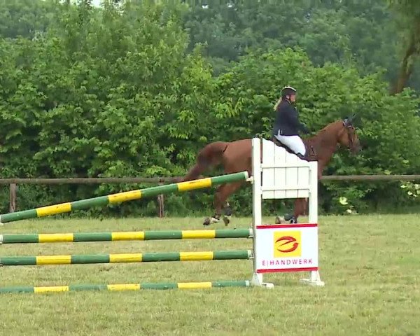 Reitturnier Neustadt/Aisch/Mfr. 2022