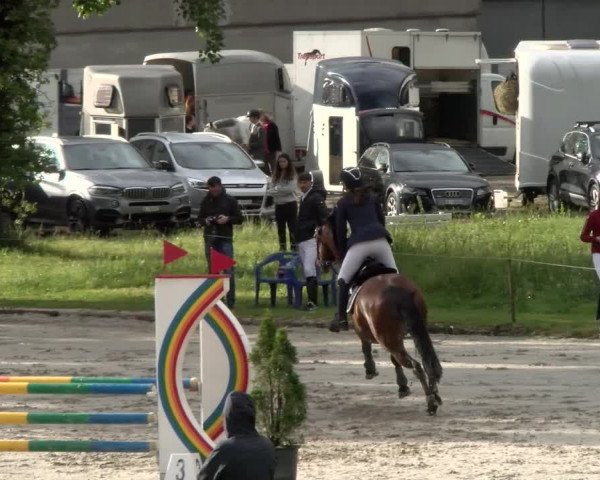 Reitturnier Schänzli, Basel 2022