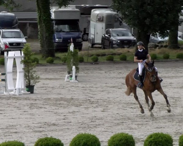 Reitturnier Schänzli, Basel 2022