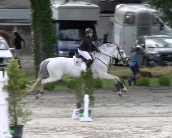 Reitturnier Schänzli, Basel 2022