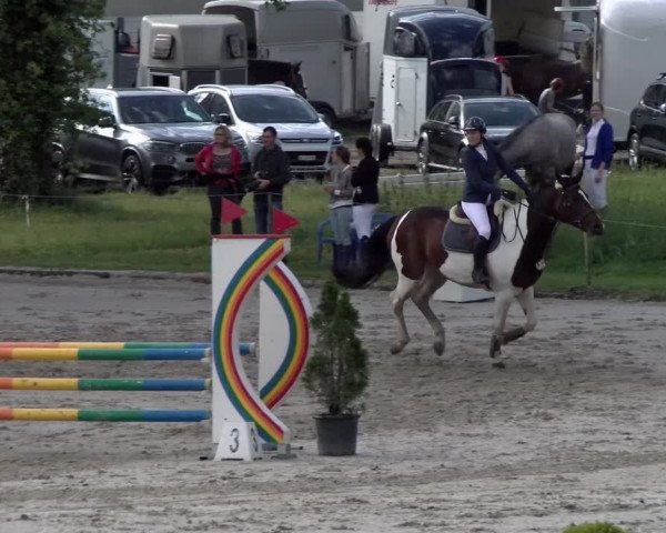 Reitturnier Schänzli, Basel 2022