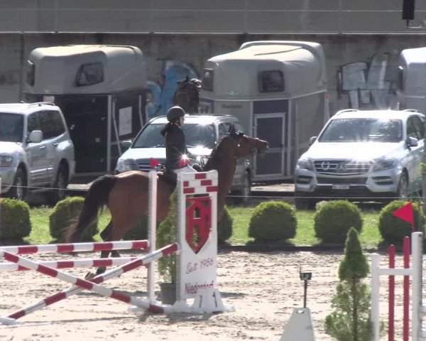 Reitturnier Schänzli, Basel 2022