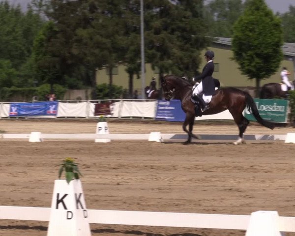 Reitturnier Frechen-Grefrath - Sonnenhof 2022