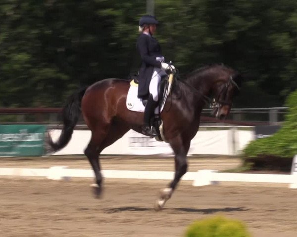 Reitturnier Frechen-Grefrath - Sonnenhof 2022