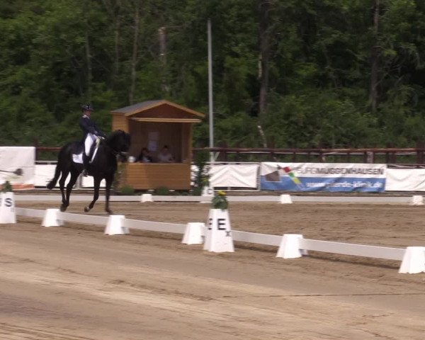 Reitturnier Frechen-Grefrath - Sonnenhof 2022