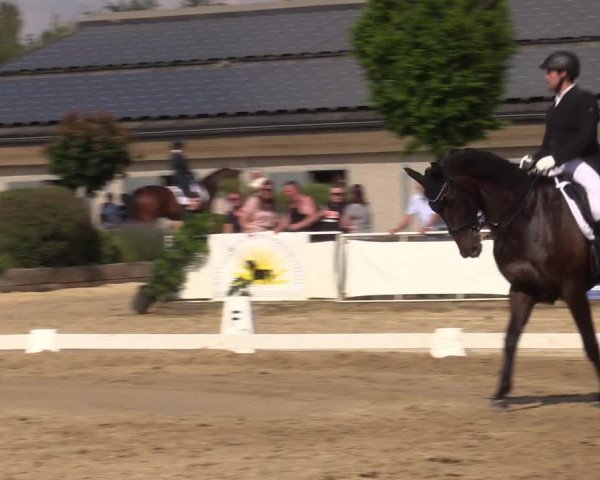 Reitturnier Frechen-Grefrath - Sonnenhof 2022
