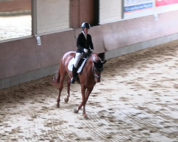 Reitturnier Everswinkel 2022