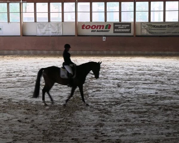 Reitturnier Everswinkel 2022