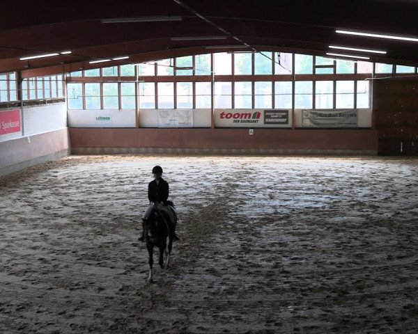 Reitturnier Everswinkel 2022