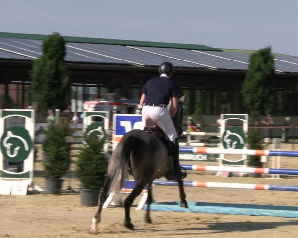 Reitturnier Everswinkel 2022