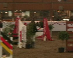 jumper Gotcha 5 (Pony without race description, 2005)