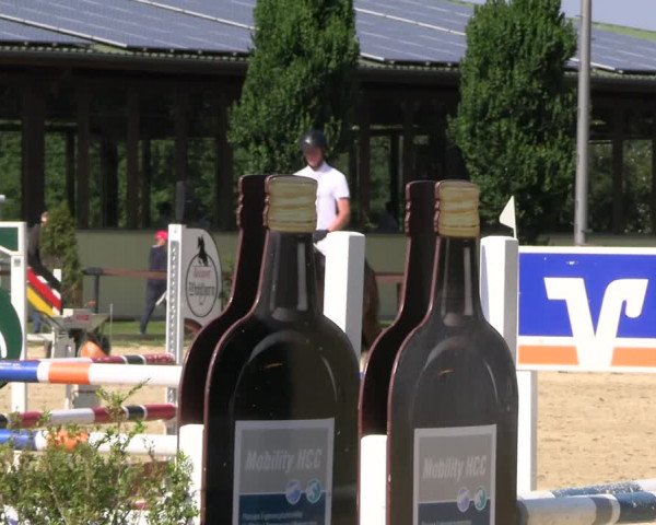 Reitturnier Everswinkel 2022