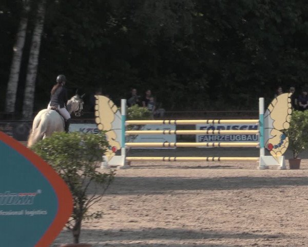 Reitturnier Lgl.-Oberhain, B95 2022