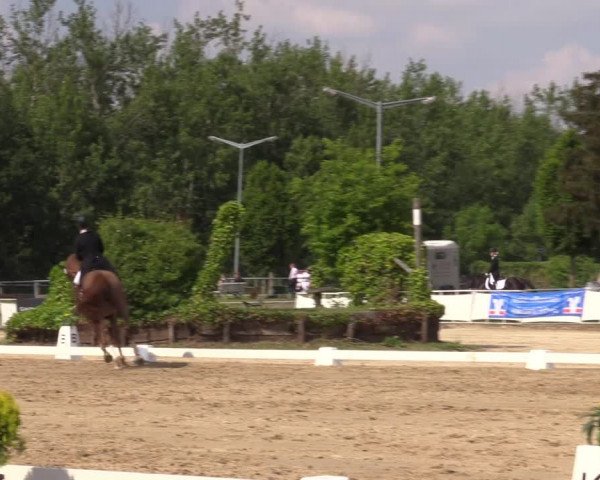 Reitturnier Frechen-Grefrath - Sonnenhof 2022