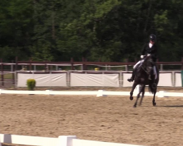 Reitturnier Frechen-Grefrath - Sonnenhof 2022