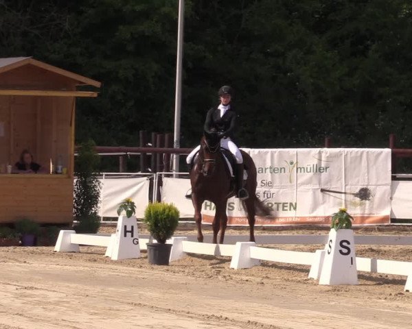 Reitturnier Frechen-Grefrath - Sonnenhof 2022