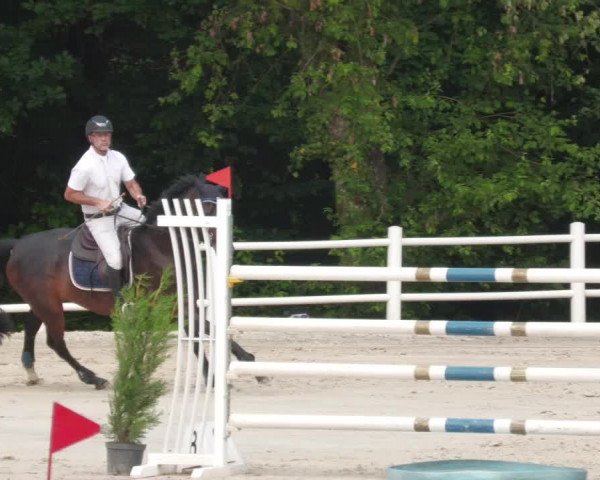 Reitturnier Losheim am See 2022