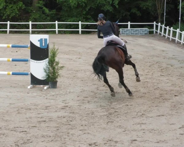 Reitturnier Losheim am See 2022