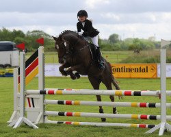 dressage horse Carbaret WE (German Riding Pony, 2011, from Cyriac WE)
