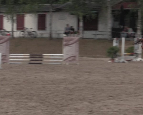 Reitturnier Lgl.-Oberhain, B95 2022