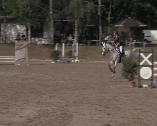Reitturnier Lgl.-Oberhain, B95 2022