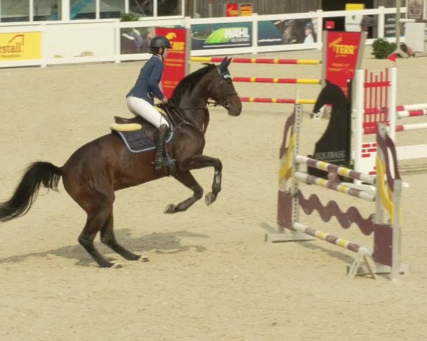 Springturnier Memmingen 2021